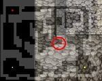 basement of mansion.jpg