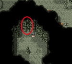 cow area.jpg