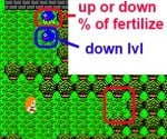 hidden item in 1st town.jpg