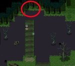 maze forest2.jpg